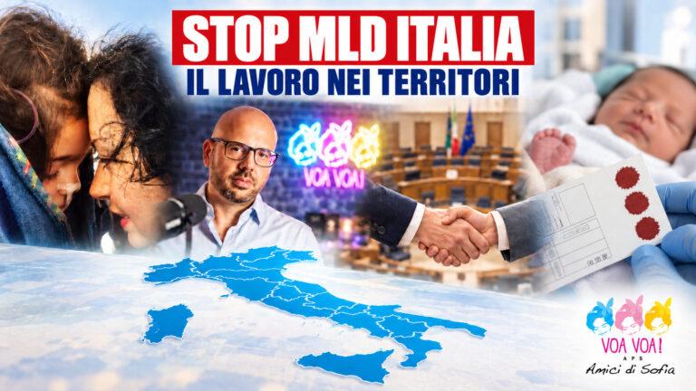 STOP MLD ITALIA: il lavoro nei territori e i risultati documentati